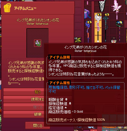 インプ兄弟がくれたシオンの花