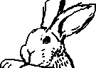 chat_20120911_173540_aspirin