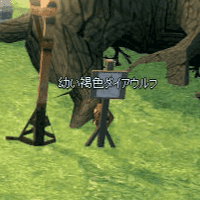 幼い褐色ダイアウルフ