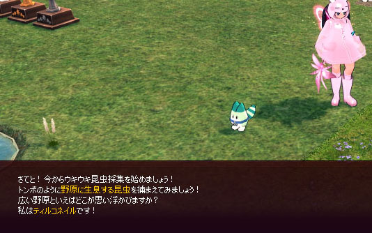 ティルコネイル