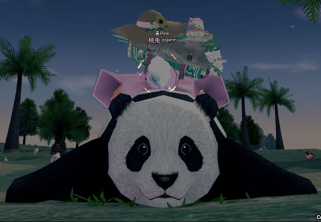 ｗｗｗｗｗｗｗｗ