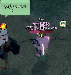 しばらくぶりの