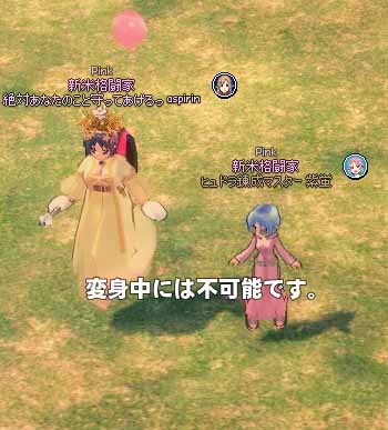 変身中には不可能です。