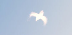 フェニックス