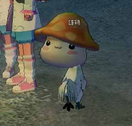 (ﾟ∀ﾟ)ｱﾋｬ