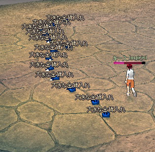 大きな金貨入れ