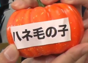 ハネ毛
