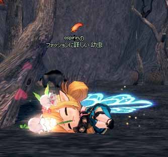 ファッションに詳しい 幼虫