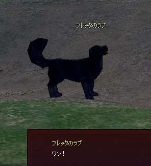 ワン！