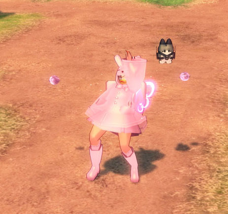 ダィスコ