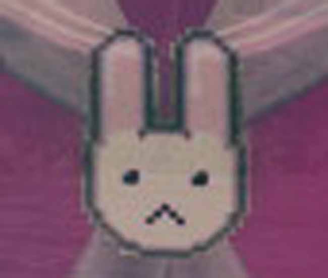 うさぎ