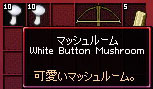 可愛いマッシュルーム。