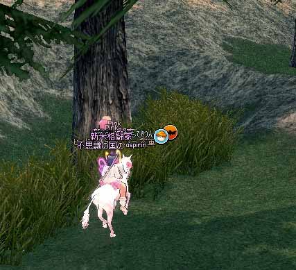 果てしなく続いた草