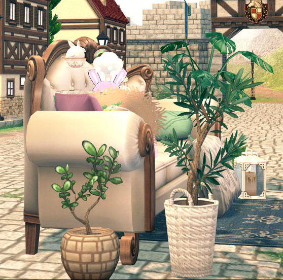 植物が気になるｗ