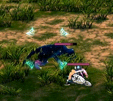 道に迷ったヒョウ座