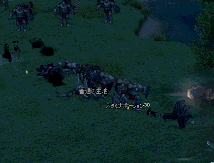 ダメージスキンフラワー2