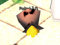www