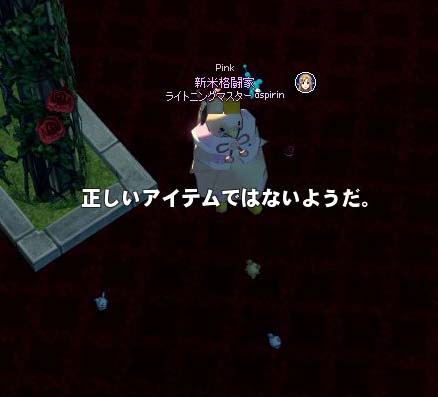 正しいアイテムではないようだ。