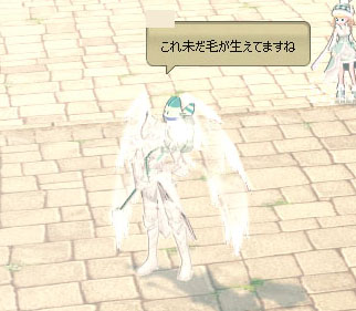 パラディーンｗ