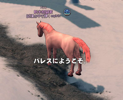 バレスにようこそ。