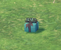 鉢植えｗｗ