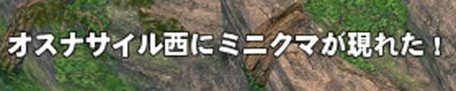 ミニクマ