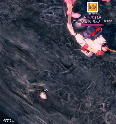 小さすぎるマンボウ