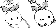 chat_20250416_230420_aspirin