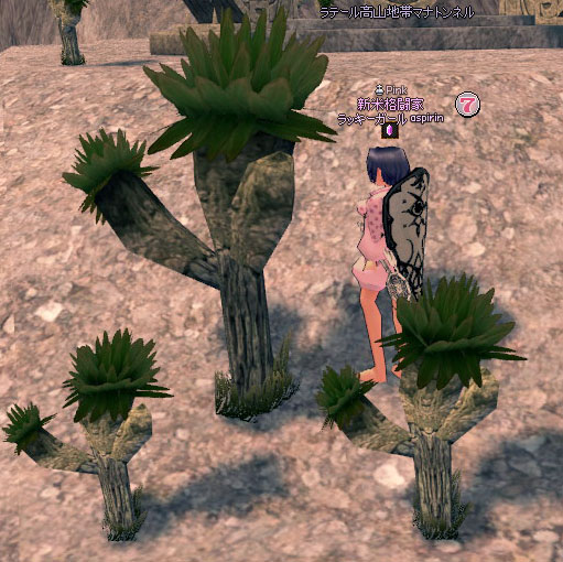 ラテール高山地帯