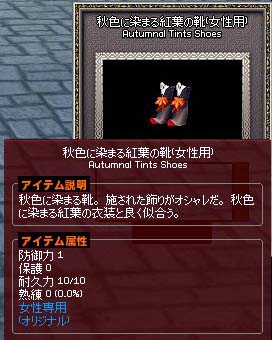 秋色に染まる紅葉の靴(女性用)