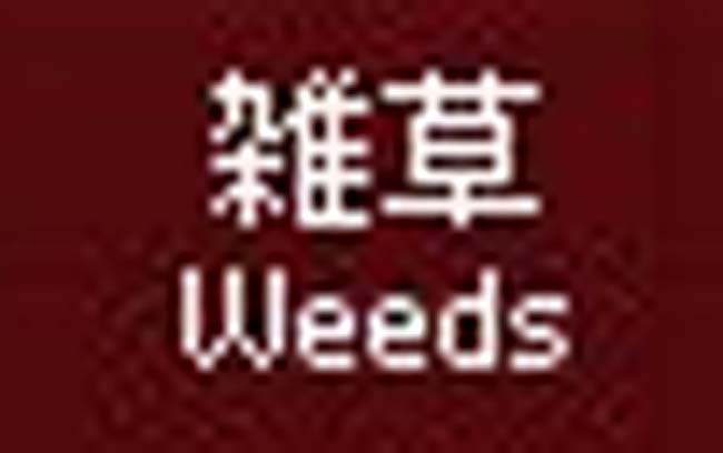 草ｗ