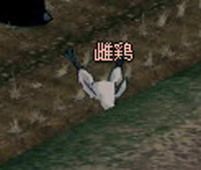 頭がない