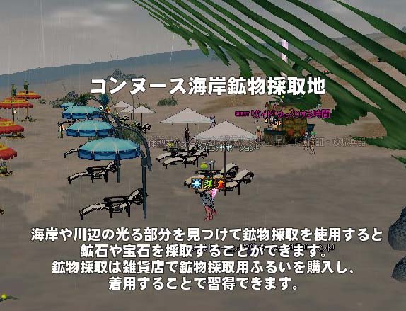 コンヌース海岸鉱物採取地