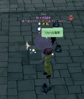 スカハの海岸ｗ