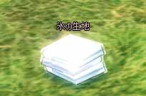 見た目が美しい