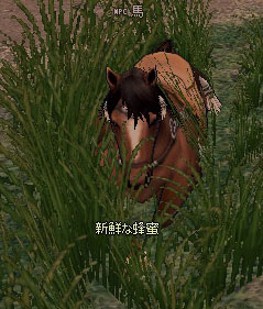 新鮮な蜂蜜