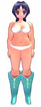 インキュバスの片想いの人のブーツ