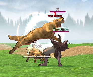 犬に襲われる黒オオカミ