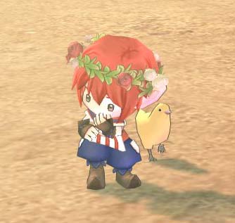 フェッシ…
