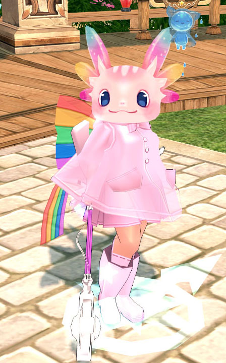 れいんぼうどーわず