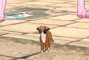 ほわんかん