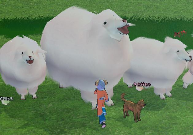 sheep_event