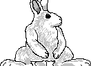 chat_20210910_161534_[ギルド] aspirin