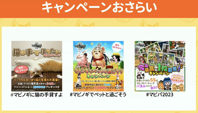 もりだくさん