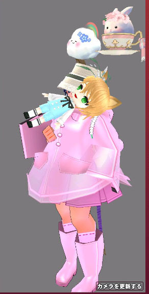 カメラを更新するｗ