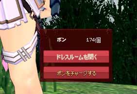 ドレスルームを開く