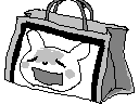 chat_20190605_192318_aspirin