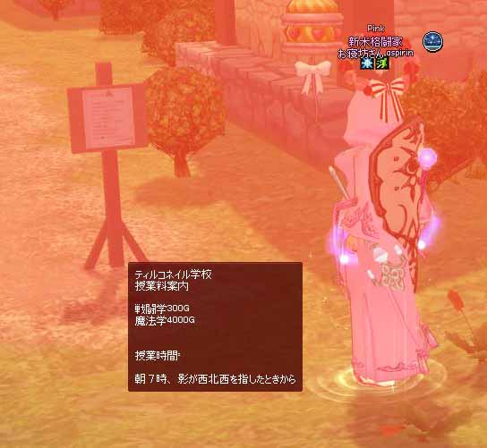 ティルコネイル学校