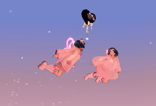 ハーモニーカップル飛行