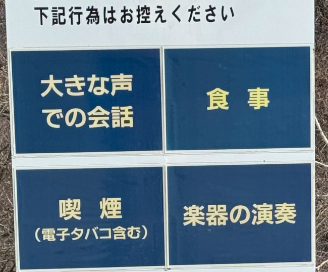 楽器の演奏ｗ